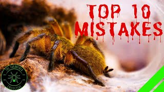 TOP 10 Mistakes Keeping Tarantulas amp Spiders  DONT DO THIS [upl. by Enrichetta]