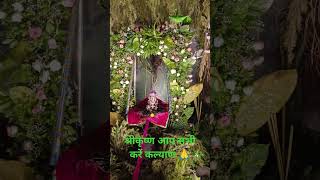 श्रीकृष्ण गोविन्द हरे मुरारी 🙏🙏🙏 song music love newsong jubinnautiyal bollywood [upl. by Nylecaj619]