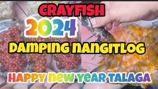 crayfish ang dami nangitlog2024 blessings [upl. by Aan]