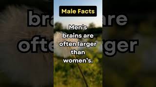 Did you know this about men 🧠facts [upl. by Hnim9]