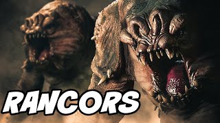 Top 10 Facts About RANCORS [upl. by Mccarthy]