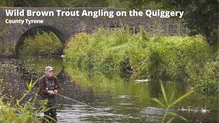 Wild Brown Trout Fishing on the Quiggery River Co Tyrone [upl. by Gayel288]