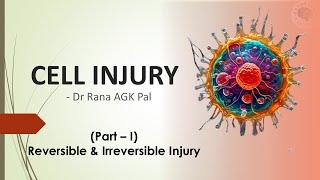 Cell Injury Pathology Part 1  Reversible amp Irreversible Injury [upl. by Harima706]