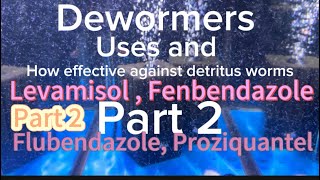 Dewormers uses and effect on Detritus worms fenbendazole Praziquantel flubendazole levamisole [upl. by Oidgime845]