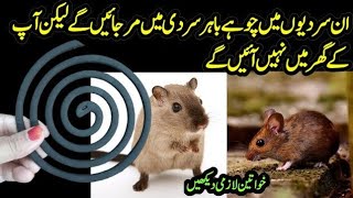 How to get rid of Lizard and mouse  Chipkali Bhagane ka Tarika  Quick Rat Killer  Kitchen Tips [upl. by Leroi913]