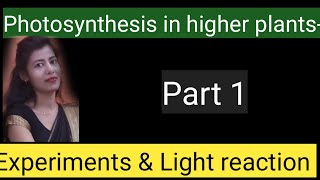 photosynthesis in higher plants NCERT educationk6111 [upl. by Higbee]