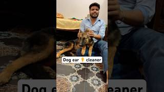 Dog Ear 👂 Cleaner Part 1  earcleaning germanshepherd dog shorts [upl. by Noemys592]