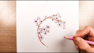 Apprendre à Dessiner une Branche de Cerisier Sakura du Japon  Tutoriel Facile [upl. by Ianaj]