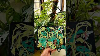 Painting Monstera livepaint illustration monsteraplant sketchbook paintwithme [upl. by Eugene750]