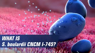 What is Saccharomyces boulardii CNCM I745 [upl. by Ecinrev]