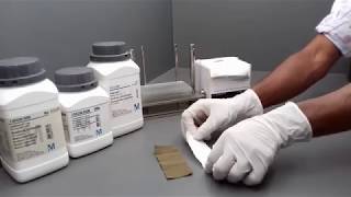 Color Fastness to Perspiration Test Acid Alkali ISO 105 E04 [upl. by Etteb]