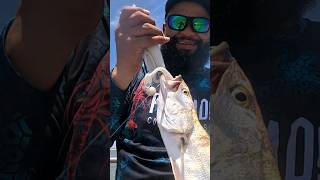 Speckled Trout Fishing Packery channel Jetties Catch and CookCorpus Christi TXfishing fish [upl. by Kcirderf800]