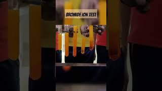 BROMIDE ION TEST chemistry bromideion yellowprecipitate chemistrylaboratory chemistrylab [upl. by Baten]