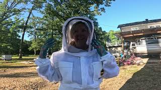 They Came For Us  Honey Bees Beekeeper Homestead Simple Living Honey [upl. by Hardden]