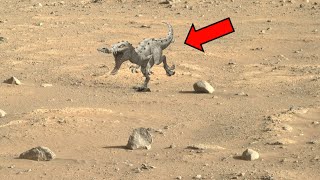 Mars perseverance rover landing stunning images  life on mars  mars in 4k video [upl. by Radcliffe72]