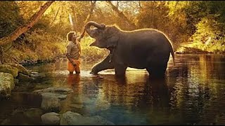 The Elephant Whisperer Full Movie  Oscar Winning Short Film 2023 netflix oscarwinner [upl. by Stacy]