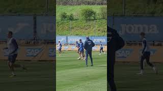 TSG HOFFENHEIM die Profis ☺️👍hit sameervlogs vip viralvideo 👍 [upl. by Yraunaj753]