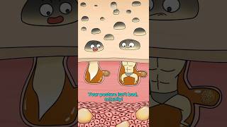 six pack515cartoon funny animation [upl. by Ginnie178]