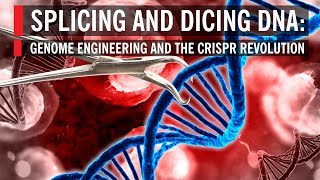 Splicing and Dicing DNA Genome Engineering and the CRISPR Revolution [upl. by Selwin]