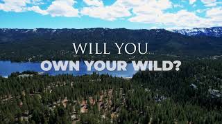 Will you own your wild You can at Horsethief Ridge [upl. by Idell858]