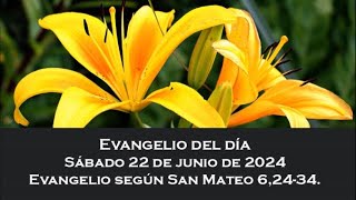 Santo Evangelio 22 junio 2024 Padre Pedro Brassesco [upl. by Naeroled]