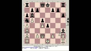 Piroska Istvan vs Almasi Zoltan  Budapest Nuovo B Chess 1992 Hungary [upl. by Olegnaed99]