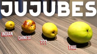 Jujubes  What are they and what are the different types Chinese Thai amp Indian Jujube [upl. by Strep968]