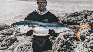 Landbased Yellowtail Kingfish [upl. by Ahcorb373]