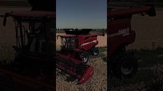 🔥Świetny CASE w Farming Simulator 22🔥✅️ farming harvest żniwa shorts fs22 [upl. by Adnohsed]