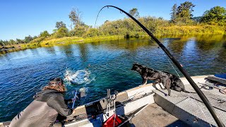 Catching GIANT FISH in a Tiny River w AddictedFishing CATCH CLEAN COOK [upl. by Ajiam]