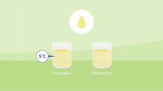 How is palm oil produced 3 Fractionation [upl. by Kennet]