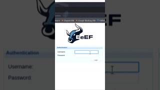 BEEF  XSS [upl. by Mok314]