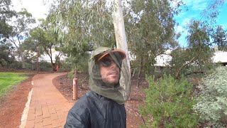 The Fastest Uluru Town Tour Ever Yulara 🇦🇺 [upl. by Eneliak239]