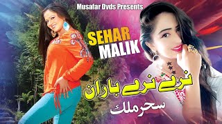 Narey Narey Baran  Pashto Song  Sehar Malik OFFICIAL Video Song [upl. by Hillier]