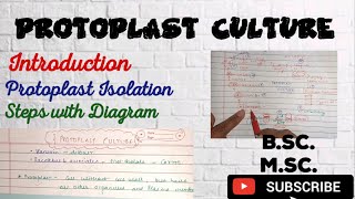 Protoplast culture Procedure Application of Protoplast Culture What is Protoplast Culture [upl. by Perpetua996]