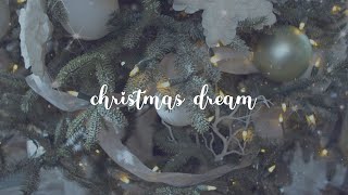 christina perri  christmas dream official lyric video [upl. by Celeski989]