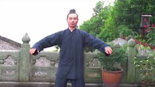 Wudang Qi Gong amp Nei Gong Tutorial with Master Chen Shiyu [upl. by Dorette969]