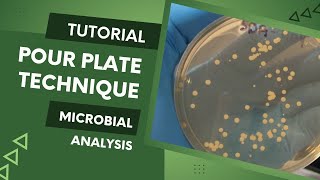 Enumeration of microbes using Pour Plate Method [upl. by Eilrahs]