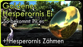 Goldenes Hesperornis Ei so bekommt ihr es   Hesperornis zähmen in ARK Survival Evolved [upl. by Suirrad]