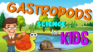 Gastropods  Science for Kids [upl. by Kurtis]