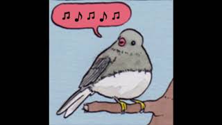 Porter Robinson Bird [upl. by Latona]