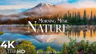 Morning Relaxing Music  Nature Relaxation Film 4K  Peaceful Relaxing Music  Video UltraHD [upl. by Ettennat]