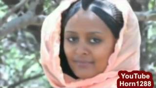 Ethiopian Traditional Music 2014 ኑርአዲስ ሰይድ  ሃዋ mp4 [upl. by Nosned]