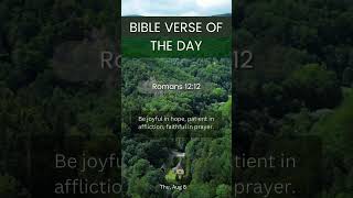 Daily Bible Verse shorts BibleVerse DailyReflection christian faith bible scripture shorts [upl. by Aizahs564]