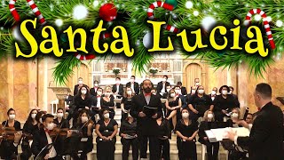 Santa Lucia  Música tradicional napolitana [upl. by Leacock]