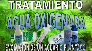 Tratamiento agua oxigenada capitulo12Evolucion de un acuario plantado PARTE 81 [upl. by Mayne]