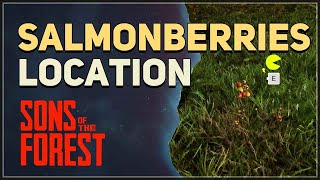 Salmonberries Location Sons Of The Forest [upl. by Kizzee]