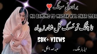 Na Baning Tu Masak Kull Shaar Zaiba  salam azad new Brahvi tiktok viral songبراہوئی نیو سونگ [upl. by Tenay]