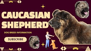 Caucasian Shepherd Dog Origins History and Unique Characteristics Explained [upl. by Nylsirk]