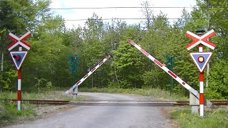 Spoorwegovergang Hornslet DK  Railroad crossing  Jernbaneoverskæring [upl. by Aidnis580]